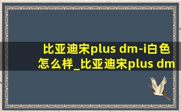 比亚迪宋plus dm-i白色怎么样_比亚迪宋plus dm-i白色是什么漆